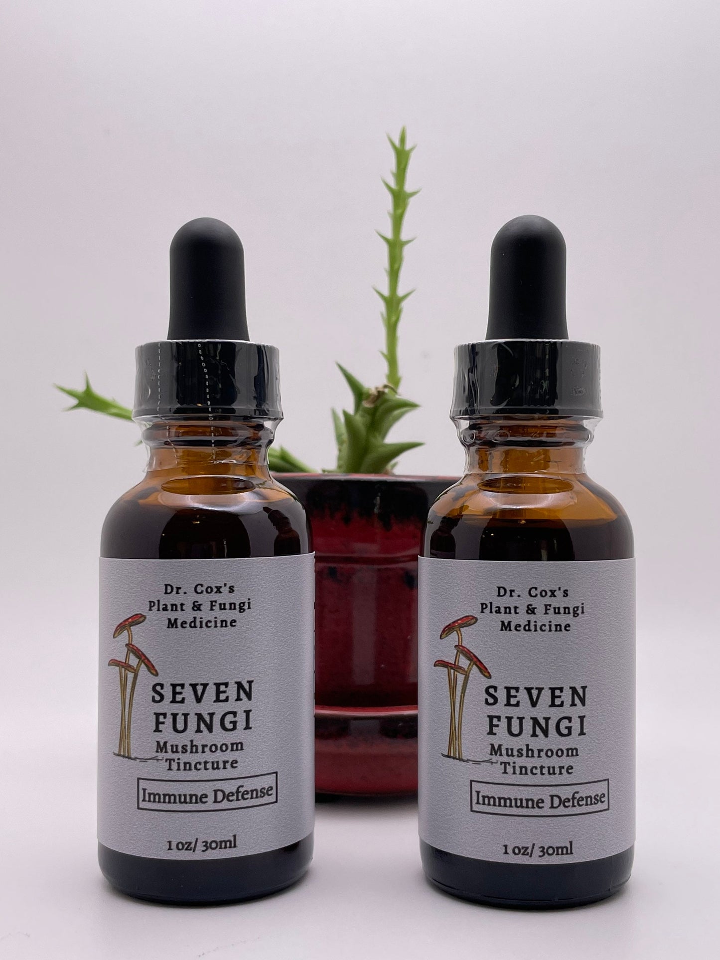 Organic Seven Fungi Fruiting Body Mushroom Tincture for Immune Support