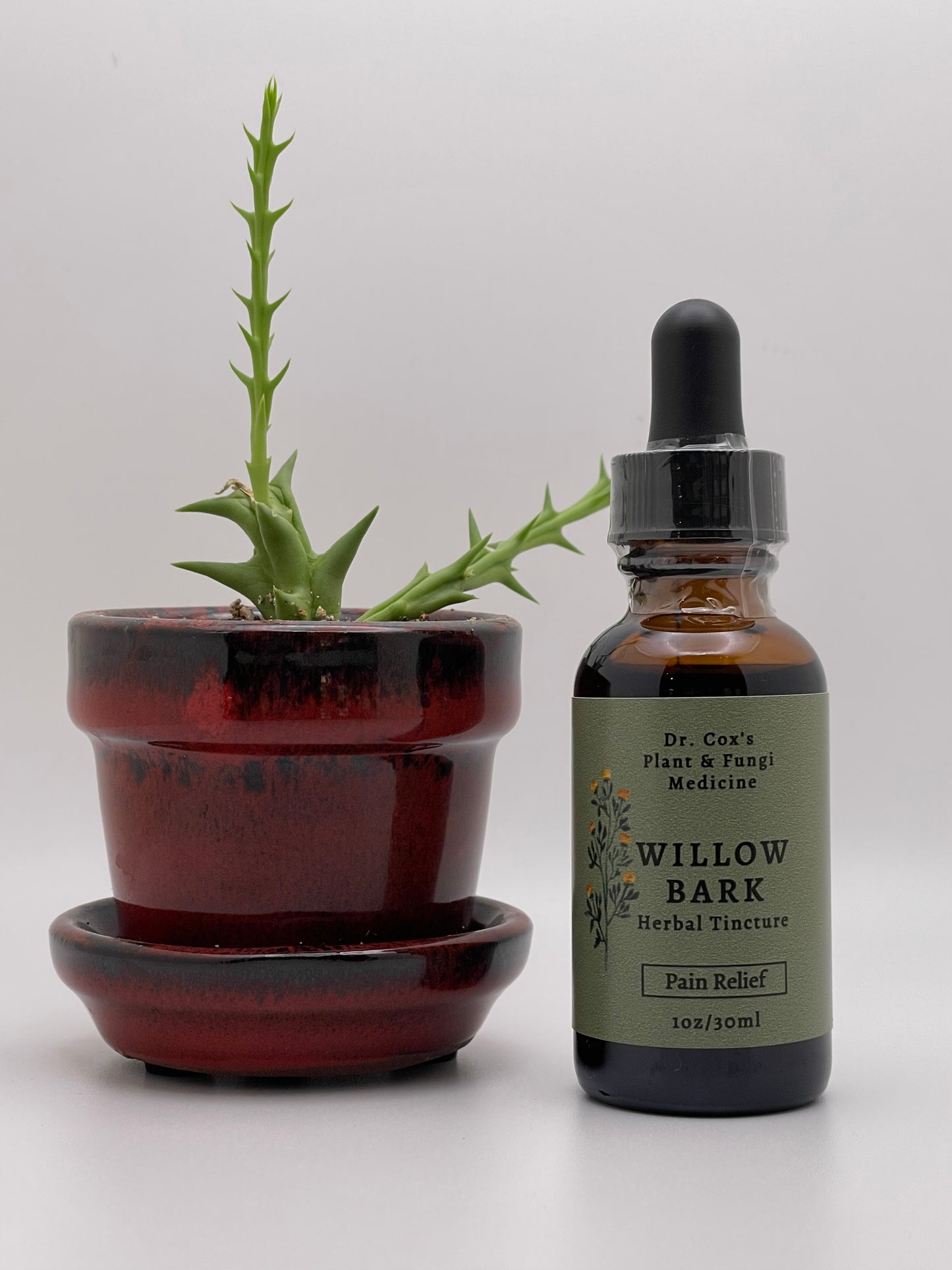 Organic Willow Bark Tincture 1oz