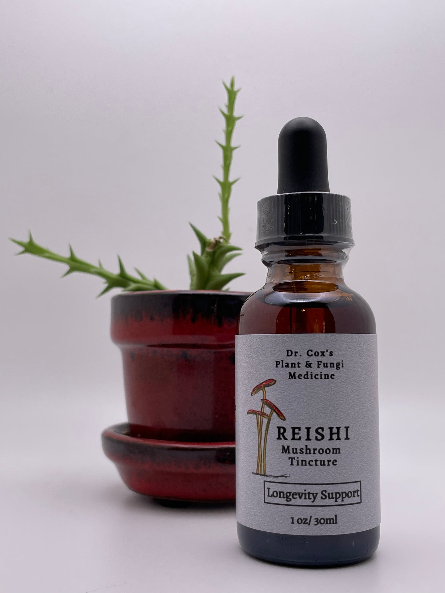 Organic Reishi Mushroom (fruiting body) Tincture