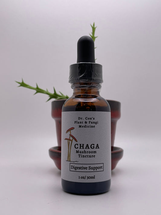 Organic Chaga Mushroom (fruiting body) Tincture