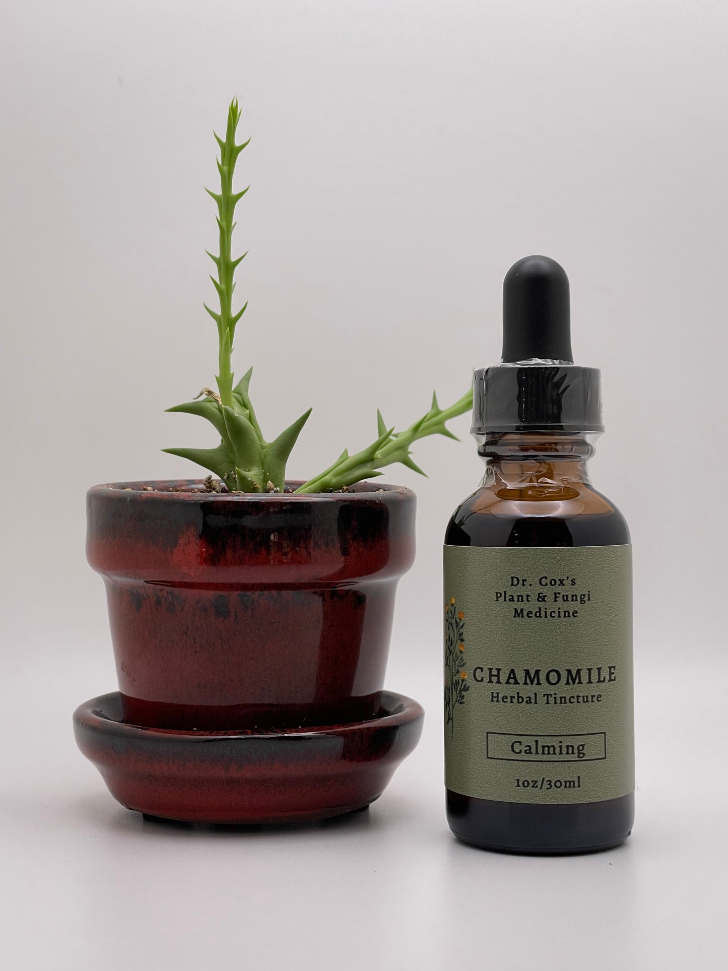 Organic Chamomile Tincture 1oz