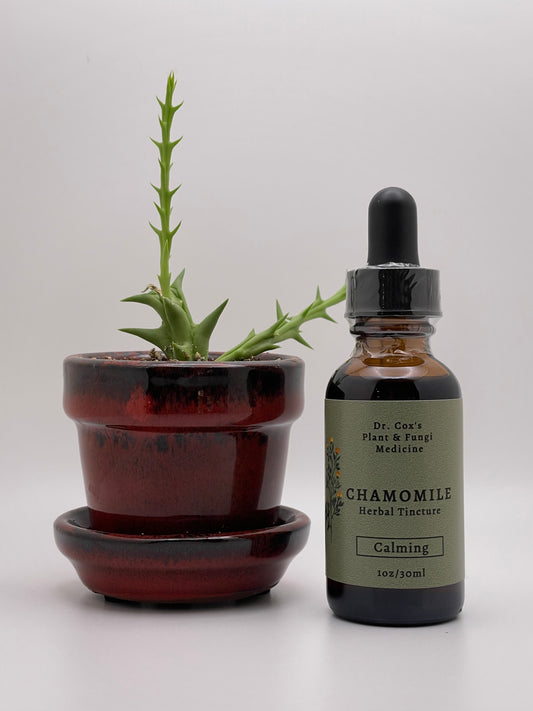 Organic Chamomile Tincture 1oz